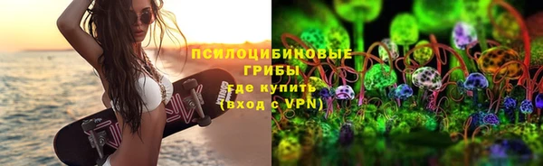 PSILOCYBIN Бородино