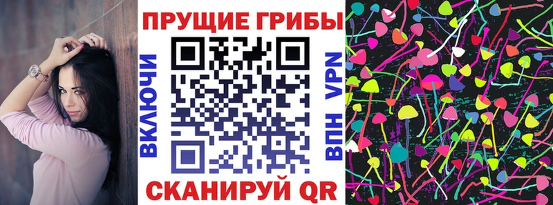 Галлюциногенные грибы Psilocybe  цена наркотик  Раменское 